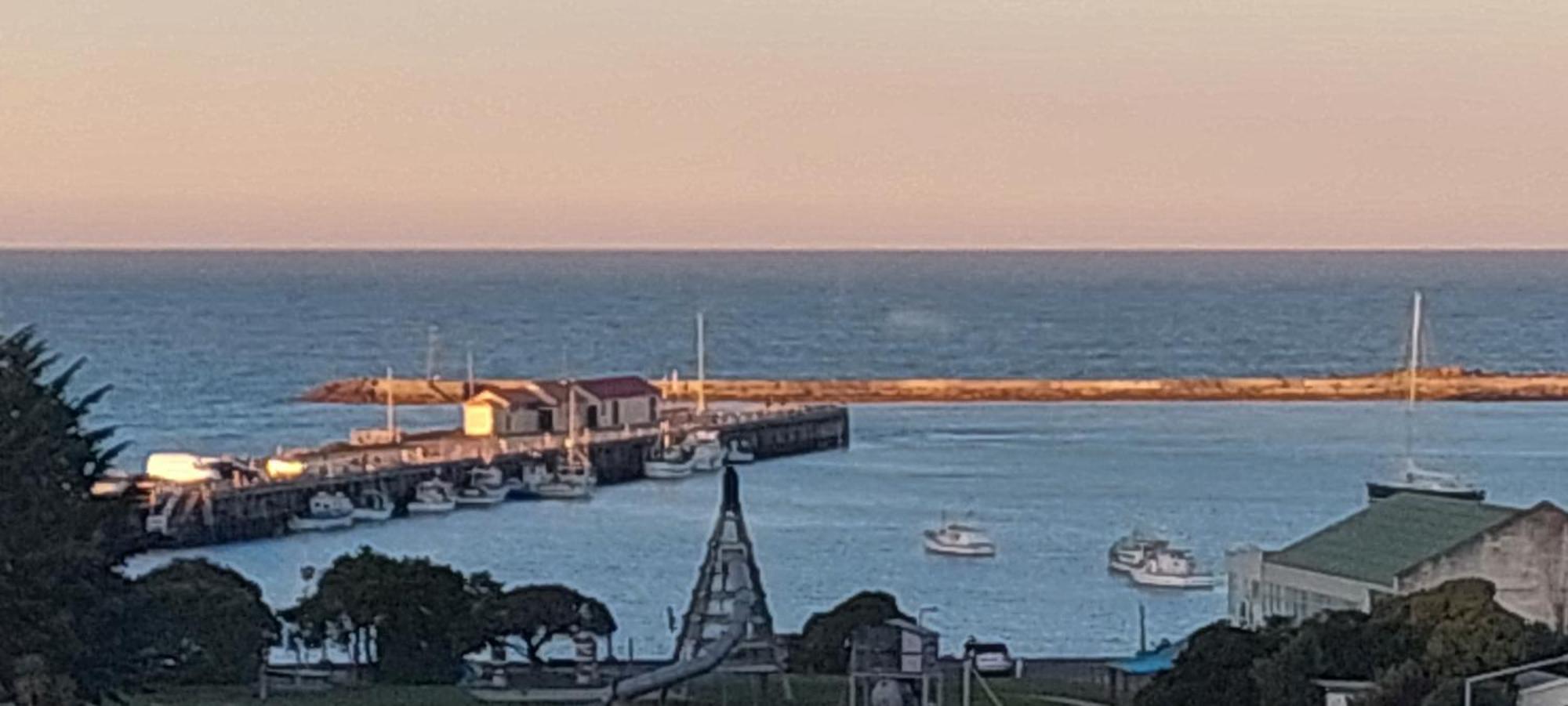 Oamaru Pink Cottage Екстериор снимка